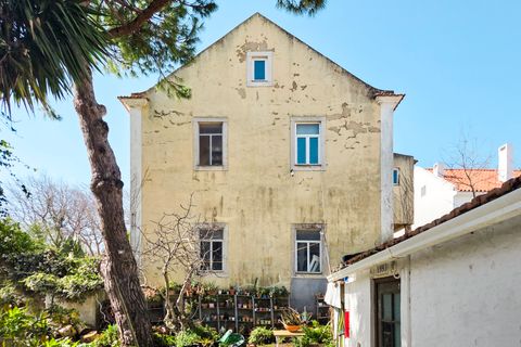 Leilighet i Cascais, Lisbon, Cascais - € 2 500 000 | Ref: MLT/0026/2026 - foto 6